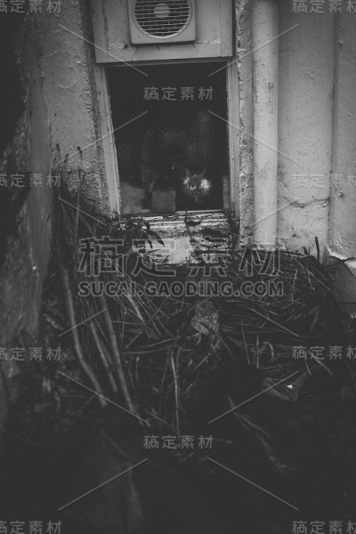 废弃的建筑
