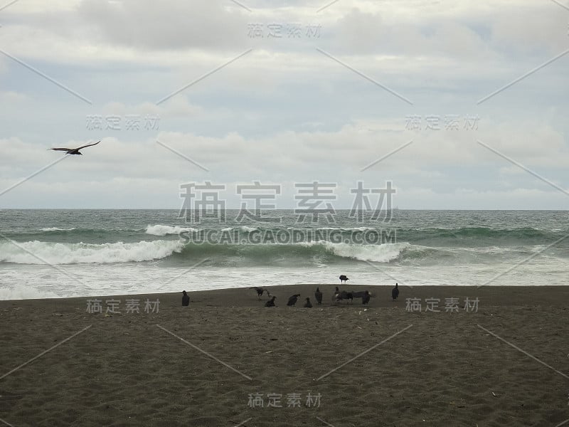 巴拿马大卫镇和巴鲁火山附近的Barqueta海滩。太平洋海岸。中美洲