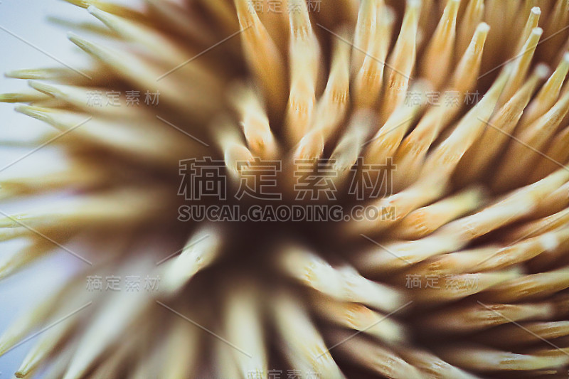近牙签微距背景