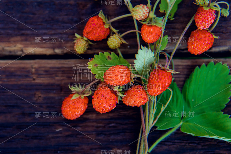 新鲜的野生草莓与叶和花在一个简单的深色木质结构背景俯视图。天然有机健康食品的概念