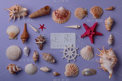 海洋作文与名片