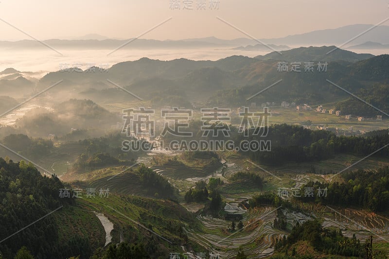 紫喜鹊梯田是中国风景区、自然文化遗产、水利风景区。