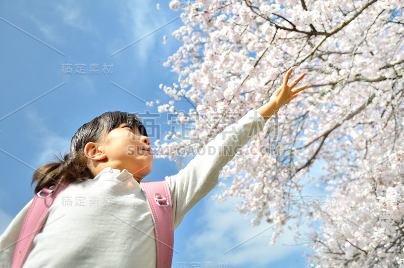 女孩和樱桃树