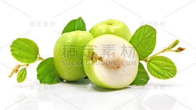 鲜青枣果实孤立在白色背景上