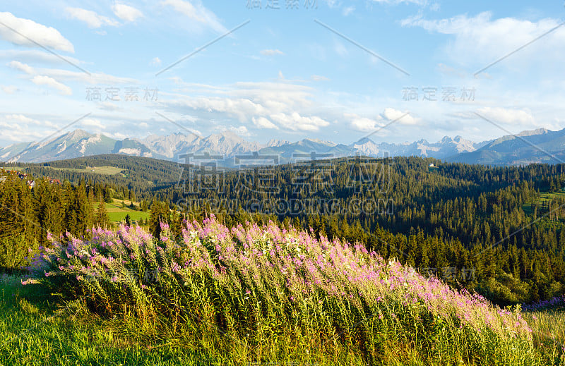 夏日山景