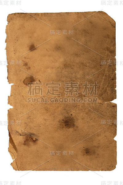 老纸