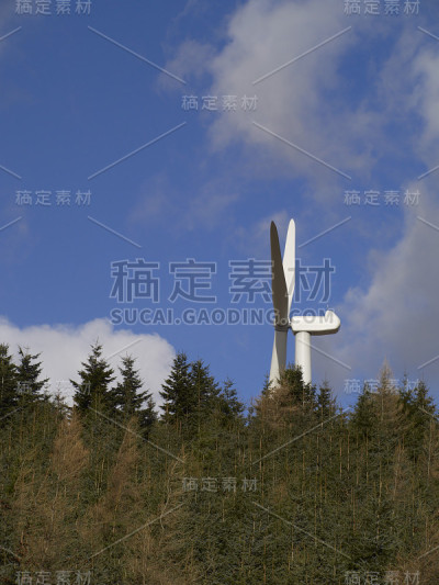 风力涡轮机和树木