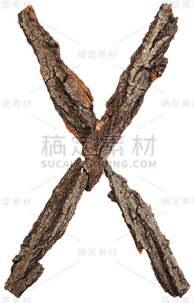 来自树皮的字母。字母X