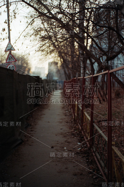 亲爱的