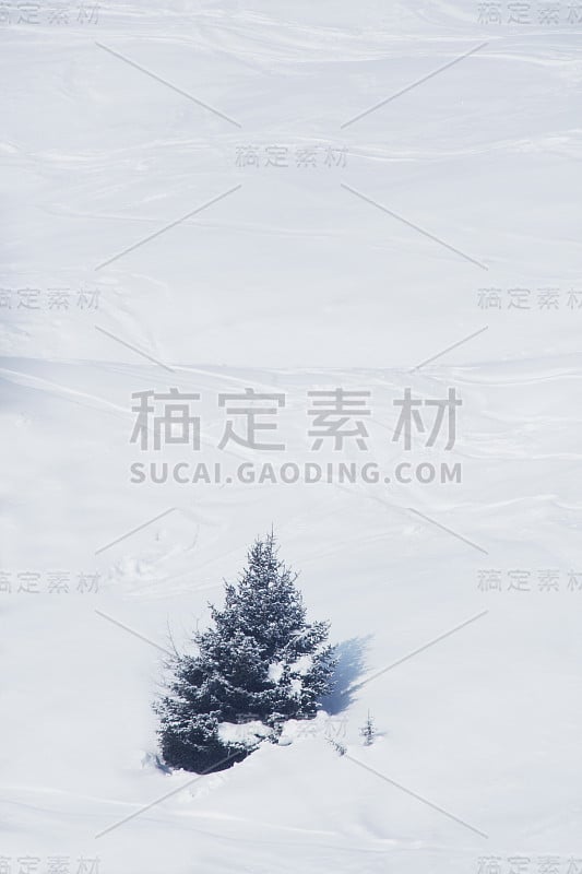 有滑雪痕迹的斜坡