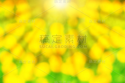 抽象的夏日背景与阳光
