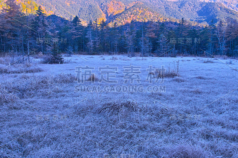 秋日清晨上知天田湿地