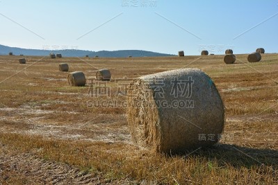 干草捆在收割的土地上，干草捆在地平线上