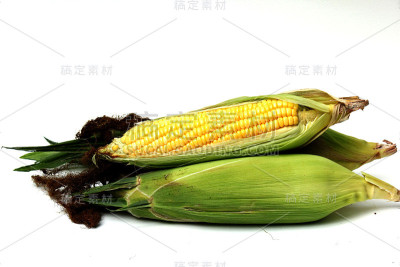 玉米