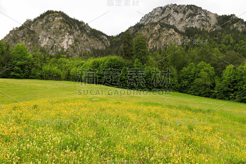 巴伐利亚阿尔卑斯风景。