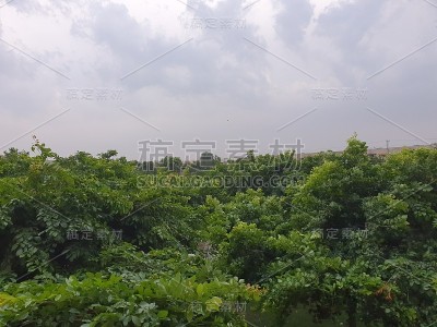 公园