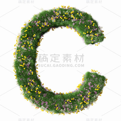 字母C上的花草地