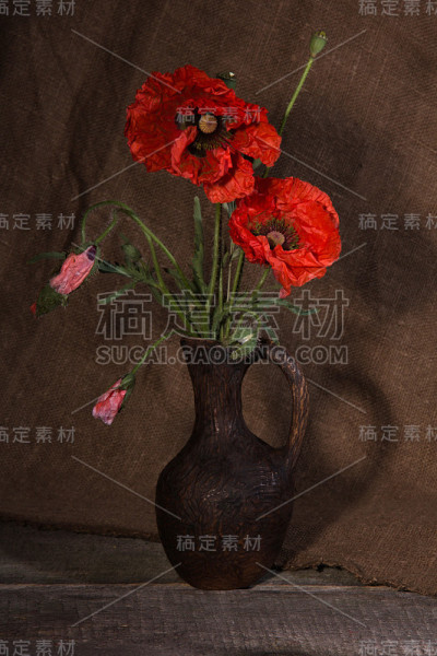 束罂粟