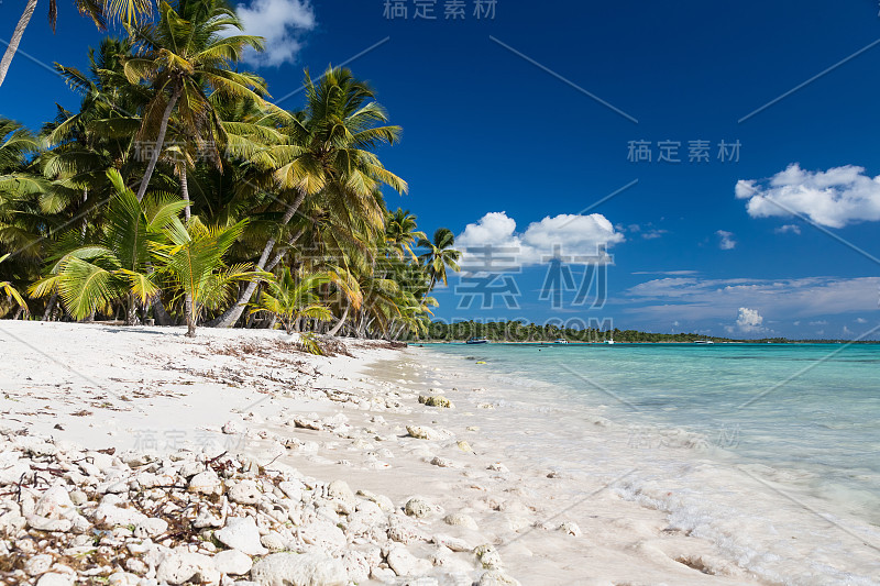 多米尼加共和国的桑纳，加勒比海的热带海滩，有珊瑚