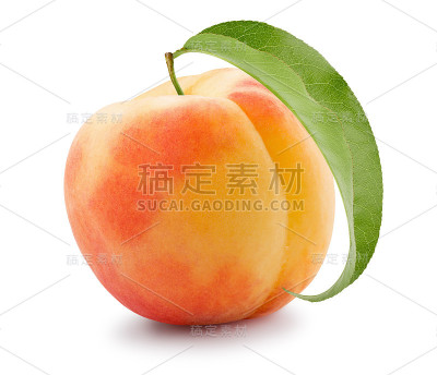 桃孤立在白色的背景上