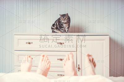 有趣的猫看着公的和母的腿窥视从毯子。舒适的早晨在舒适的床上。注意猫。