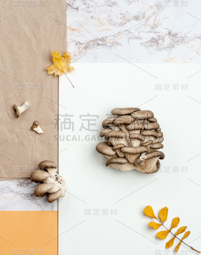 平菇铺在牛皮纸、大理石和橙色的桌子上。