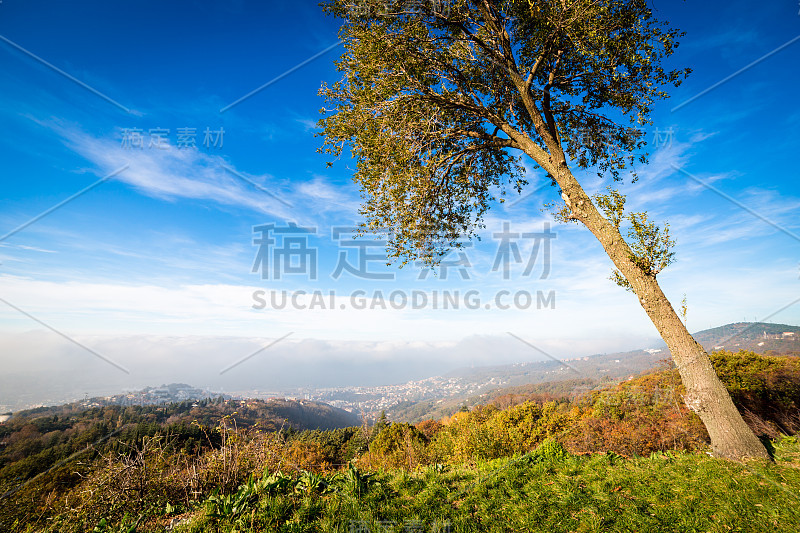 里雅斯特海湾的一个多雾的早晨