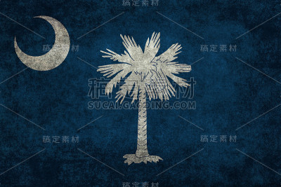 南卡罗来纳的旗帜与破旧的纹理