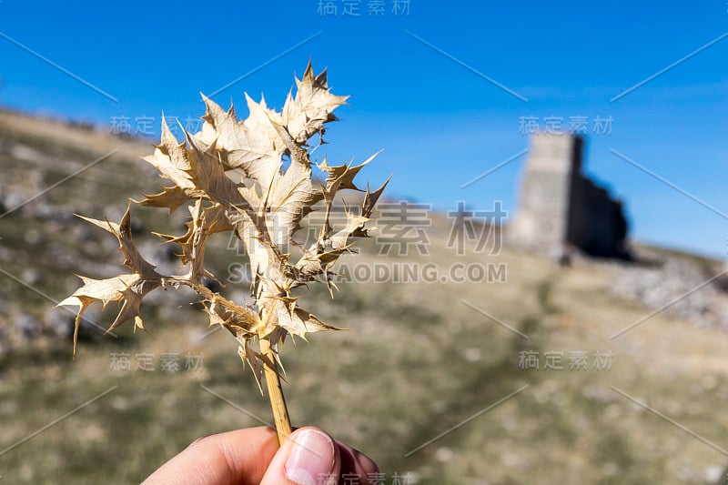 西班牙阿西尼波的罗马城镇