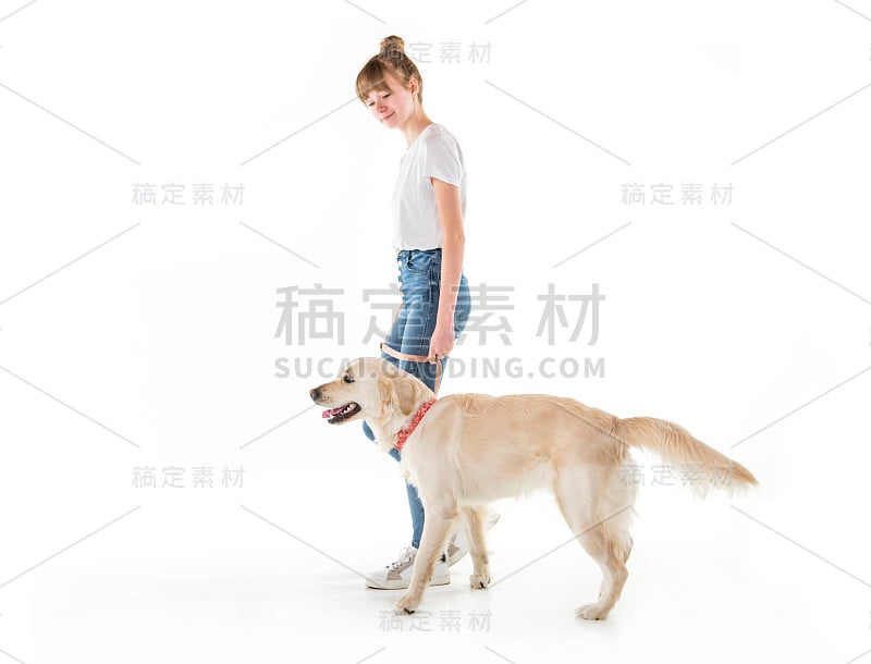 漂亮的少女和她美丽的金毛猎犬在白色的背景