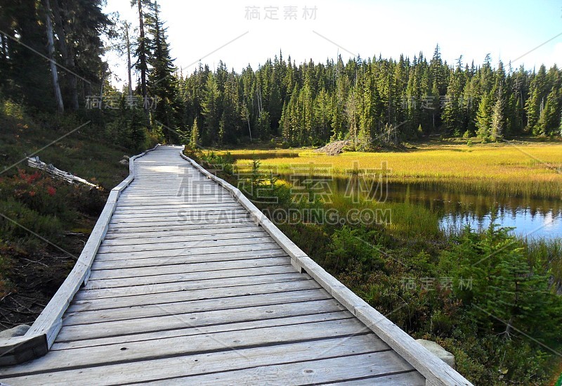 华盛顿山禁忌高原