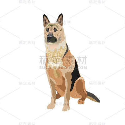 东欧牧羊犬