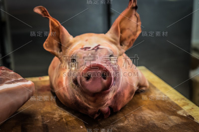 猪的头