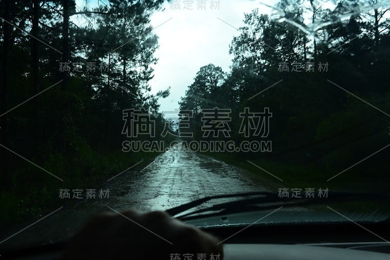 司机POV在雨林土路上