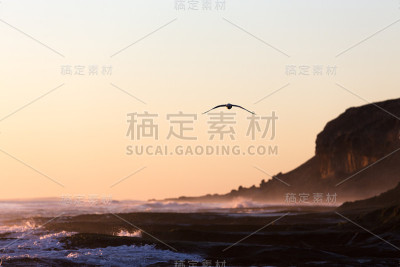 金色的飞鸟和遥远的海岸线剪影