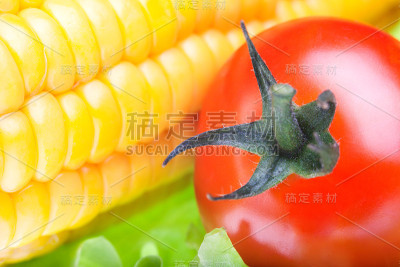蔬菜宏观
