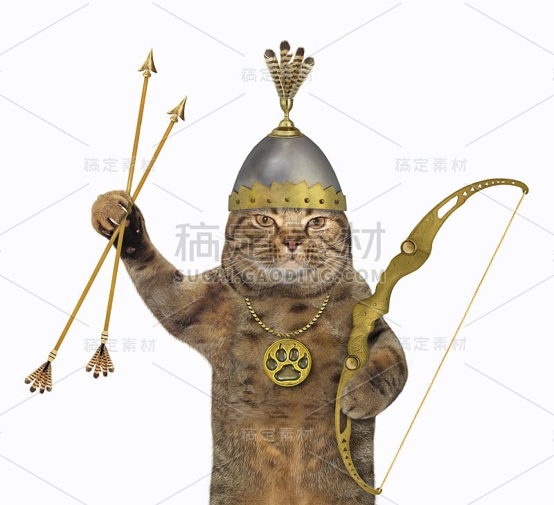 带着弓箭的猫武士