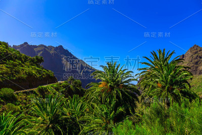 手掌在山