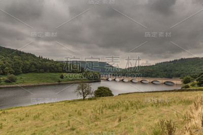瓢虫在峰区，英格兰，英国