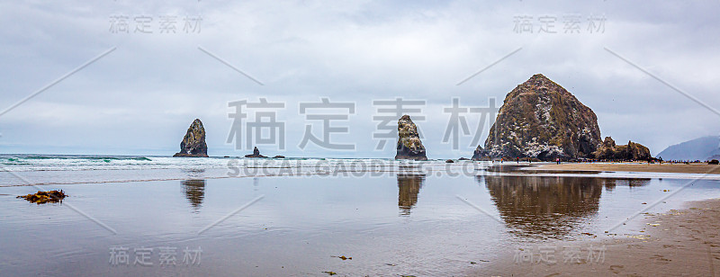 干草堆岩石和针
