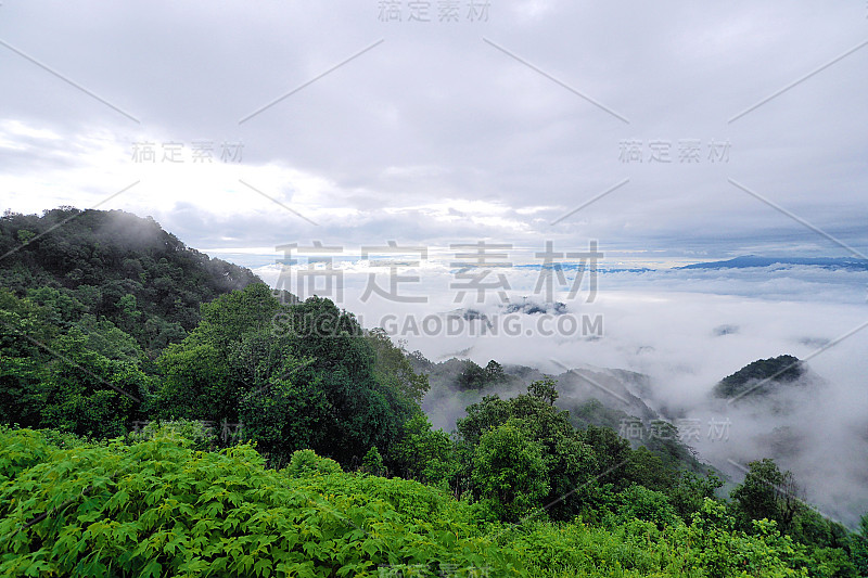 山景与浓雾