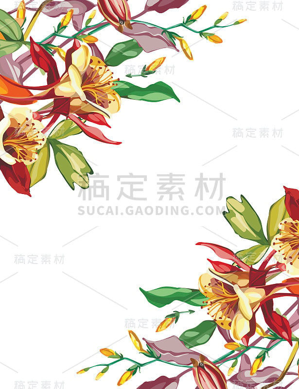 夏季花框在水彩风格孤立。全称:Crocosmia, Aquilegia。水彩花可以用于背景，纹理，包