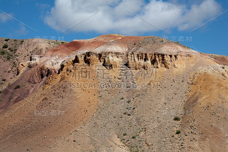 阿尔泰峡谷草原和山脉为背景