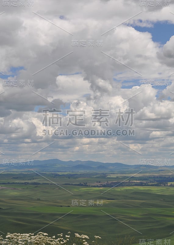 Steptoe Butte Panorama / Vertical_0736