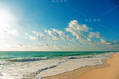 天堂般的大自然，苍鹭和夏日的热带海滩。