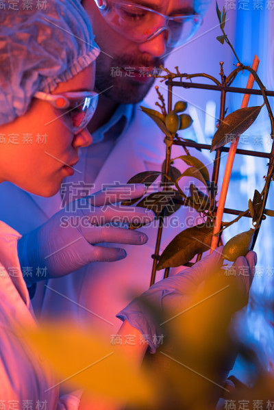 在植物实验室工作的科学家