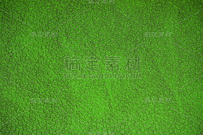 自然爬行动物皮肤暗绿色表面的特写。