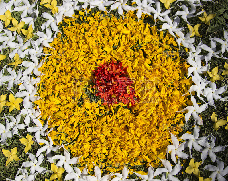 Ixora花瓣装饰艺术