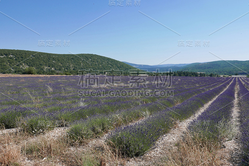 漫步在luberon，天文台的圣米歇尔和巴侬在沃克鲁兹，法国