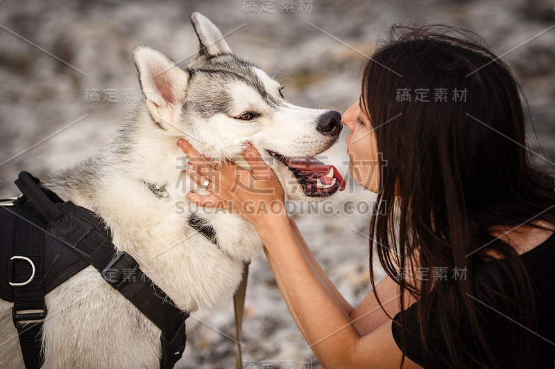 日落时分，美丽的女孩和一只灰白相间的哈士奇狗在山上玩耍。